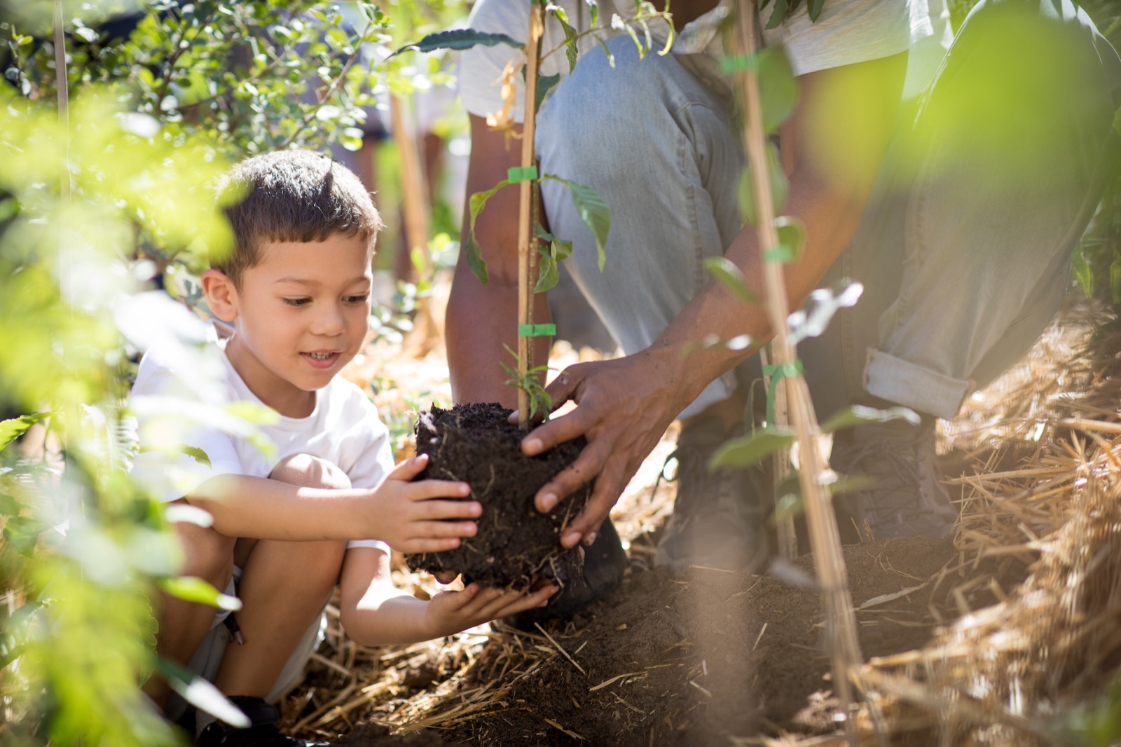 Khoi First Nations Forest planting photographed by The Dollie House