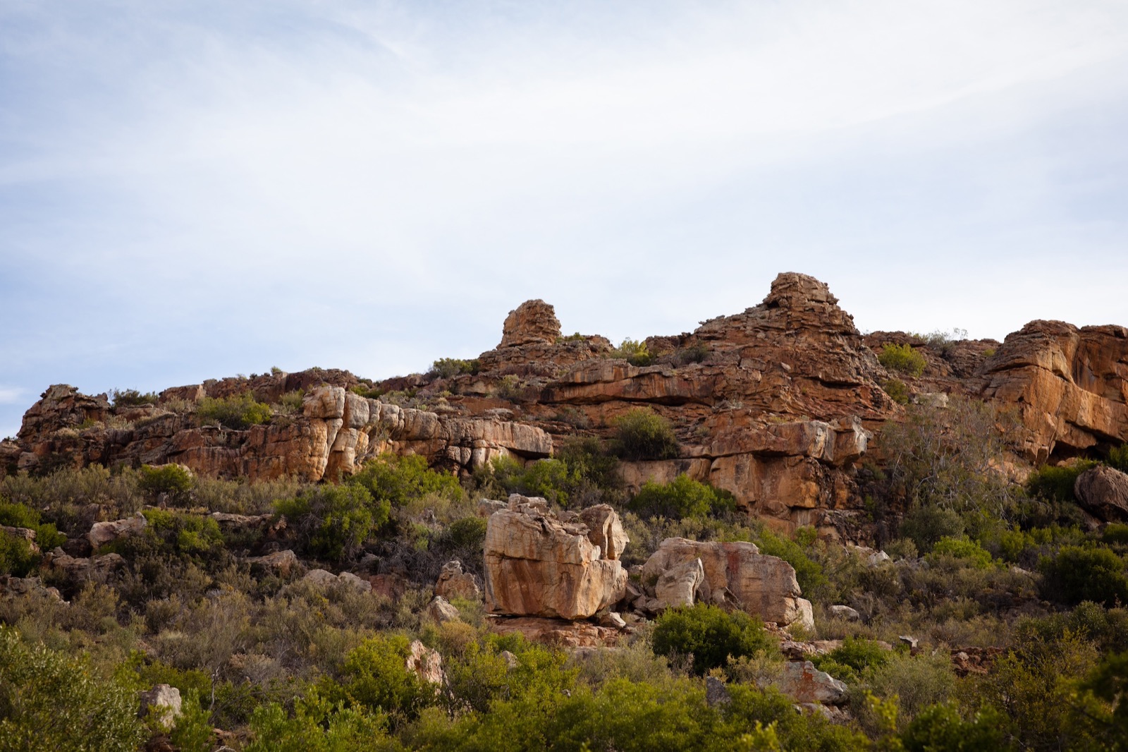 Traveller's Rest, Cederberg 5  —  7 October 2022 — 9